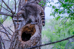 1_Untitled-3370