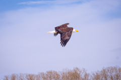 53172863336_2a9dbc3f02_o