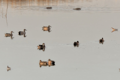 53185598914_7435f54472_o