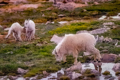 53305691251_e6b75953a4_o-Edit