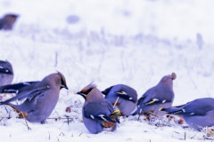 Untitled-11802