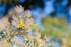 Untitled-25255