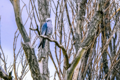 Untitled-25284