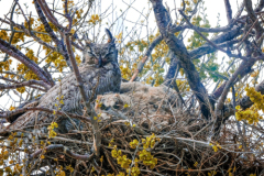 Untitled-25285