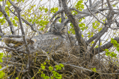 Untitled-25306