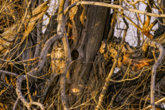 Untitled-25325
