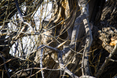 Untitled-25326