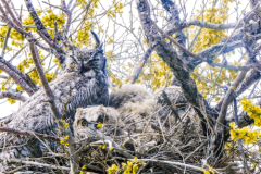 Untitled-25327