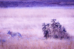 Untitled-25355
