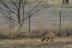 Untitled-25375