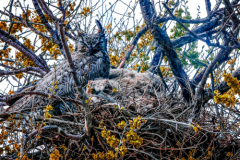 Untitled-27498