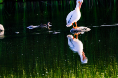 Untitled-3635