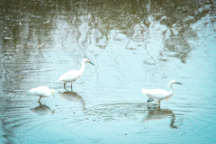 Untitled-3641