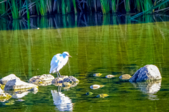Untitled-3643