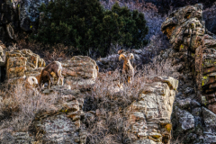 Untitled-3646