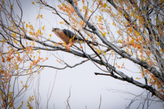 Untitled-3671
