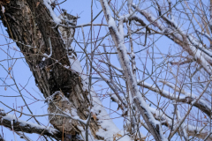 Untitled-3836