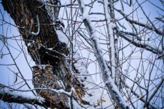 Untitled-3846
