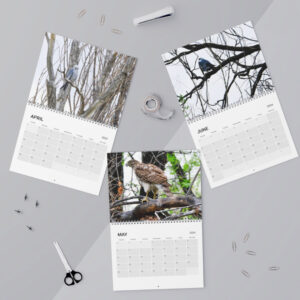 Calendar (2024)