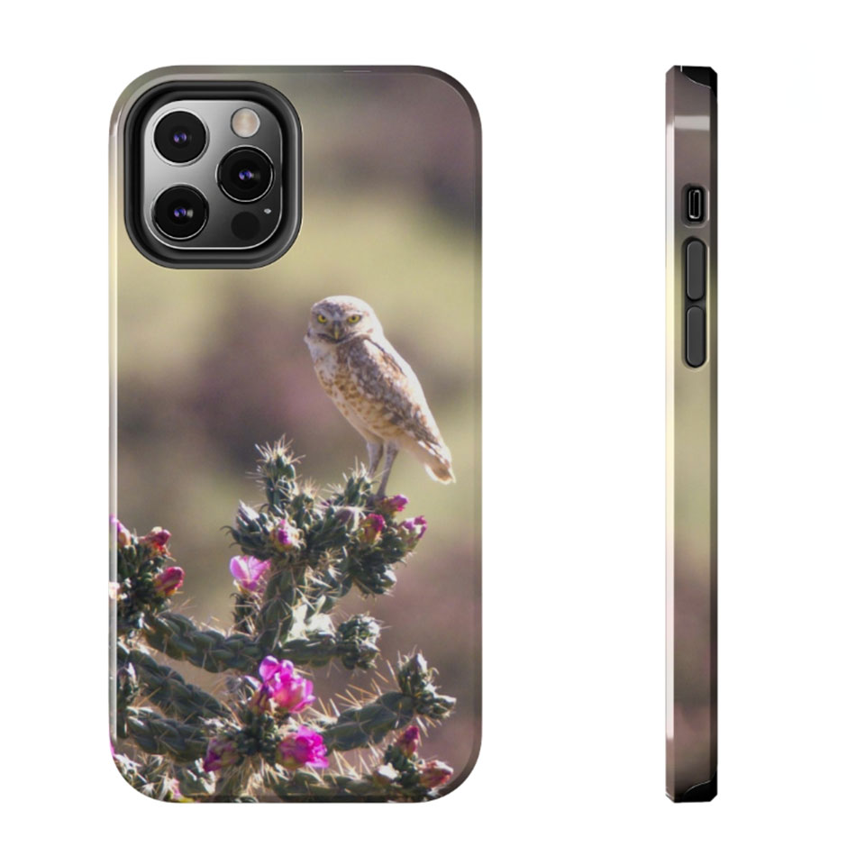 Owl Phone Case Rocky Mountain Reverie